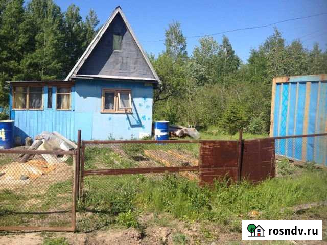 Дача 40 м² на участке 10 сот. на продажу в Приамурском Приамурский - изображение 1