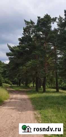 Участок ИЖС 15 сот. на продажу в Михнево Михнево - изображение 1