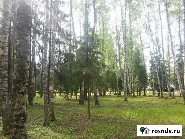 Участок ИЖС 9 сот. на продажу в Туношне Туношна - изображение 1