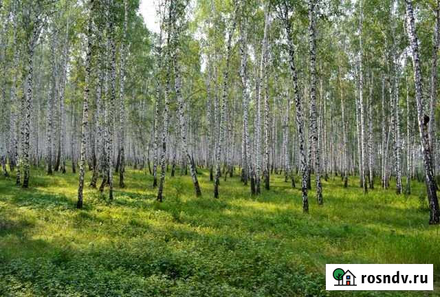 Участок СНТ, ДНП 6 сот. на продажу в Копейске Копейск - изображение 1