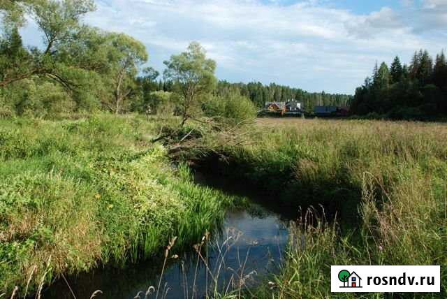 Участок ИЖС 65 сот. на продажу в Звенигороде Звенигород - изображение 1