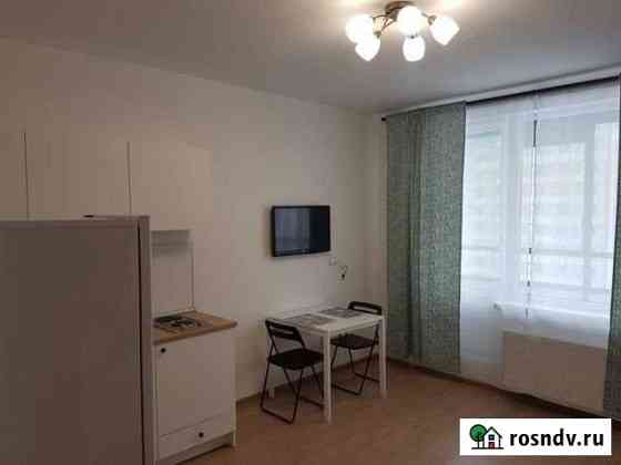 Квартира-студия, 25 м², 9/17 эт. в аренду на длительный срок в Мурино Мурино