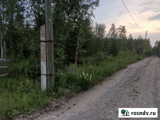 Участок СНТ, ДНП 14 сот. на продажу в Петрозаводске Петрозаводск - изображение 1