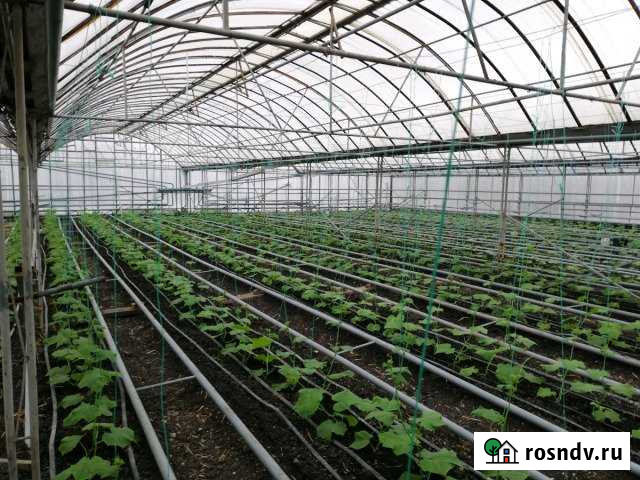 Дом 120 м² на участке 8 сот. на продажу в Лысогорской Лысогорская - изображение 1