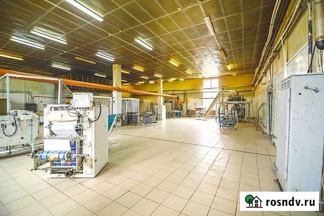 Продам производственный комплекс 3900 кв.м Суздаль - изображение 1