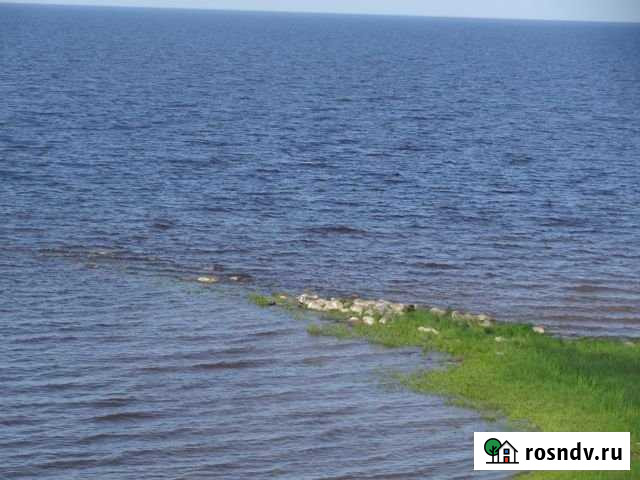 Участок ИЖС 20 сот. на продажу в Пролетарии Пролетарий - изображение 1