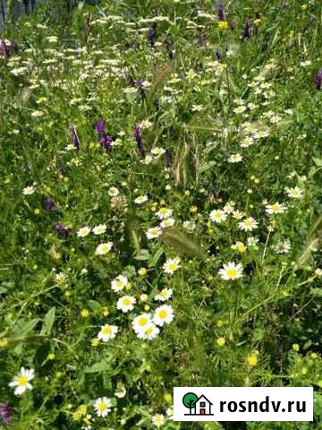 Участок СНТ, ДНП 300 сот. на продажу в Ахтырском Ахтырский - изображение 1