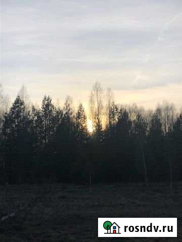 Участок ИЖС 20 сот. на продажу в Спас-Клепиках Спас-Клепики - изображение 1