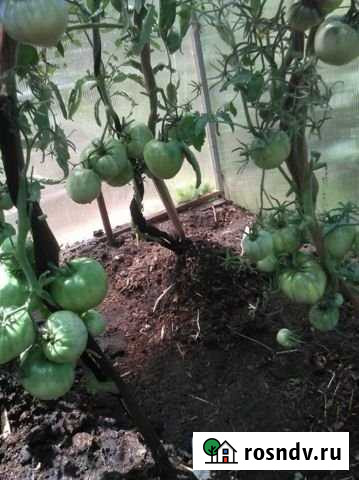 Дача 25 м² на участке 6 сот. на продажу в Рыбинске Рыбинск - изображение 1