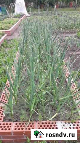 Дача 64 м² на участке 12 сот. на продажу в Верху-Туле Верх-Тула - изображение 1