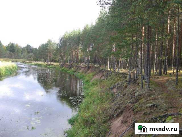 Участок СНТ, ДНП 2800 сот. на продажу в Удомле Удомля - изображение 1