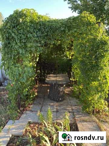 Дача 20 м² на участке 5 сот. на продажу в Оренбурге Оренбург - изображение 1