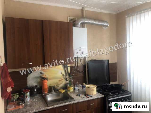 1-комнатная квартира, 31.2 м², 1/3 эт. на продажу в Шебекино Шебекино - изображение 1