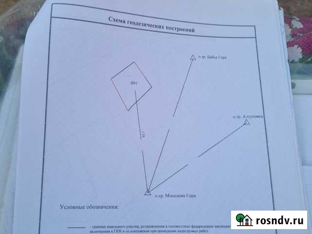 Участок СНТ, ДНП 6 сот. на продажу в Смоленске Смоленск - изображение 1