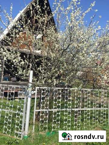 Дача 40 м² на участке 10 сот. на продажу в Горном Новосибирской области Горный - изображение 1