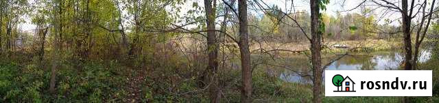 Участок СНТ, ДНП 15 сот. на продажу в Запрудне Запрудня - изображение 1