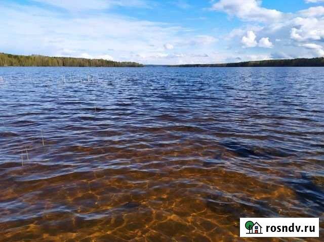 Участок СНТ, ДНП 20 сот. на продажу в Кирпичном Кирпичное - изображение 1