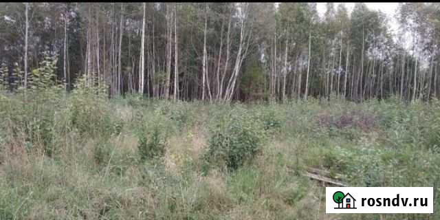 Участок СНТ, ДНП 15 сот. на продажу в Пскове Псков - изображение 1