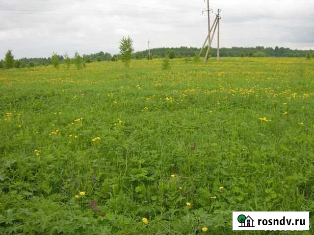 Участок СНТ, ДНП 1650 сот. на продажу в Рамешках Рамешки - изображение 1