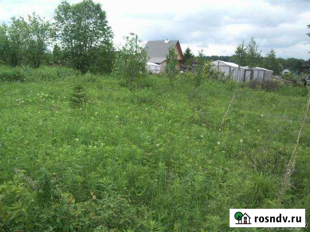 Участок СНТ, ДНП 14 сот. на продажу в Перми Пермь - изображение 1