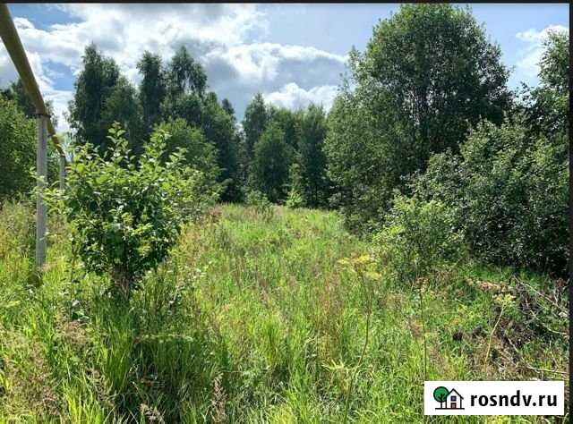 Участок ИЖС 23 сот. на продажу в Буревестнике Буревестник - изображение 1