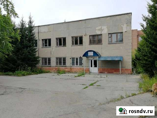 Помещение свободного назначения, 500- 1100 кв.м. Барнаул - изображение 1