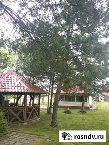 Участок СНТ, ДНП 10 сот. на продажу в ЛМС ЛМС - изображение 1