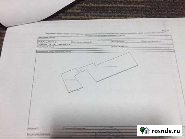 Участок СНТ, ДНП 100 сот. на продажу в Русско-Высоцком Русско-Высоцкое - изображение 1