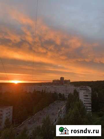 2-комнатная квартира, 56 м², 12/16 эт. в аренду на длительный срок во Всеволожске Всеволожск - изображение 1