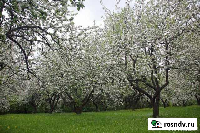 Участок ИЖС 18 сот. на продажу в Городце Городец - изображение 1