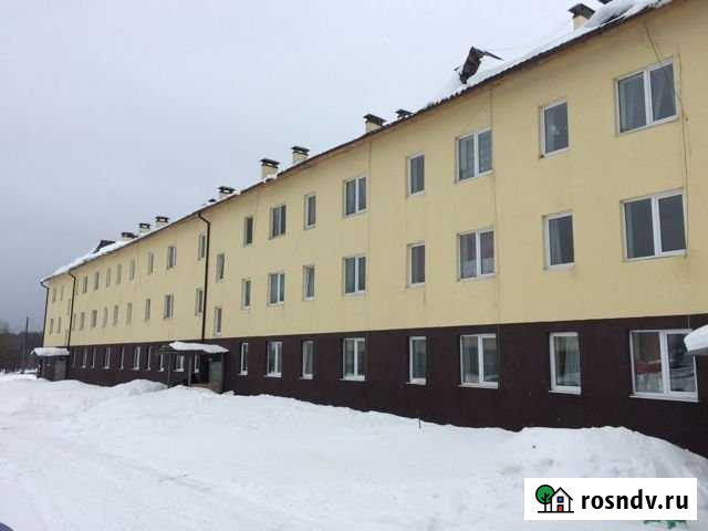 1-комнатная квартира, 24.1 м², 2/3 эт. на продажу в Дружинино Дружинино - изображение 1