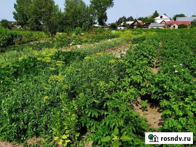 Участок ИЖС 15 сот. на продажу в Юшале Юшала - изображение 1