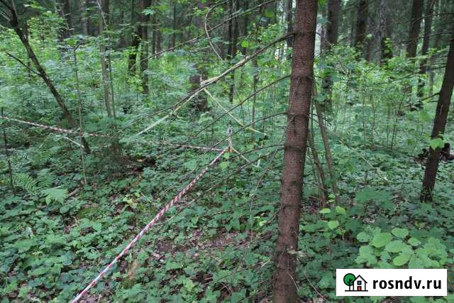 Участок ИЖС 20 сот. на продажу в Деденево Деденево - изображение 1