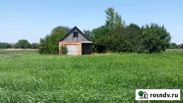 Участок ИЖС 25 сот. на продажу в Новолеушковской Новолеушковская - изображение 1