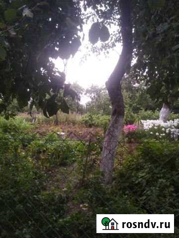 Участок СНТ, ДНП 10 сот. на продажу в Калининграде Калининград - изображение 1