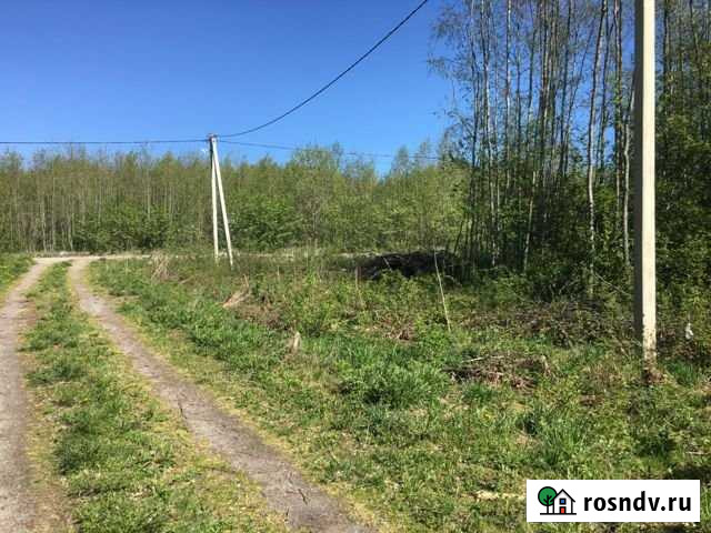 Участок СНТ, ДНП 10 сот. на продажу в Кузнечном Кузнечное - изображение 1