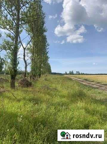 Участок ИЖС 12 сот. на продажу в Тайцах Тайцы - изображение 1