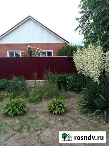 Дом 80 м² на участке 6 сот. на продажу в Гулькевичах Гулькевичи - изображение 1