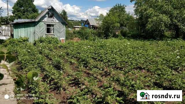 Участок СНТ, ДНП 5 сот. на продажу в Клине Клин - изображение 1