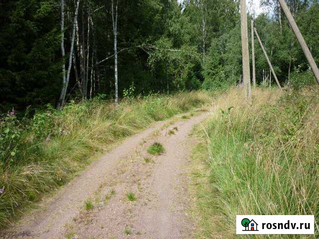 Участок СНТ, ДНП 20 сот. на продажу в Выборге Выборг - изображение 1