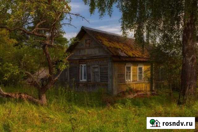 Дом 46 м² на участке 60 сот. на продажу в Каменке Воронежской области Каменка - изображение 1