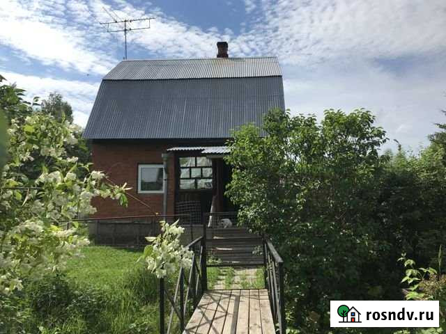 Дом 50 м² на участке 8 сот. в аренду на длительный срок в ЛМС ЛМС - изображение 1