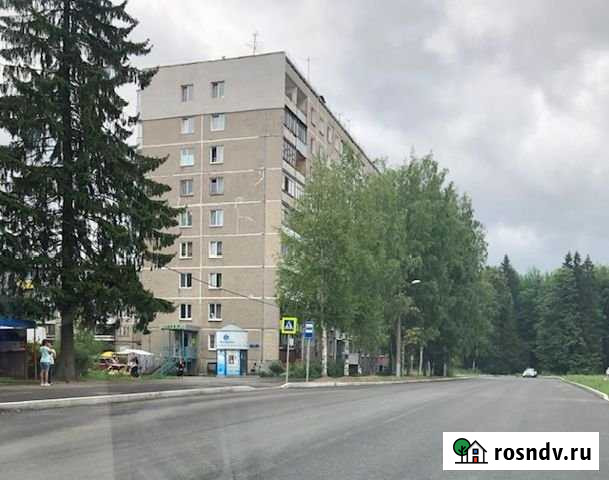 2-комнатная квартира, 43 м², 1/9 эт. на продажу в Перми Пермь - изображение 1