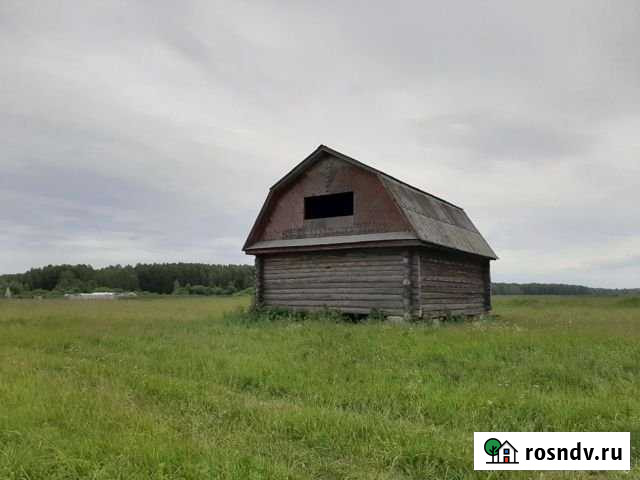 Участок ИЖС 50 сот. на продажу в Нижней Тавде Нижняя Тавда - изображение 1