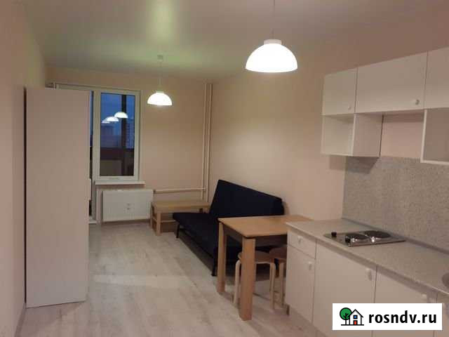 Квартира-студия, 28 м², 16/24 эт. в аренду на длительный срок в Мурино Мурино - изображение 1