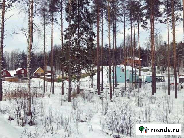Участок СНТ, ДНП 16 сот. на продажу в Токсово Токсово - изображение 1