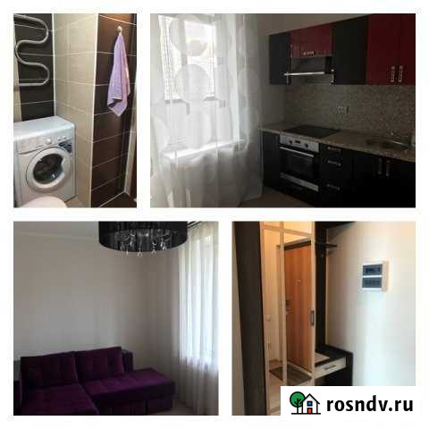 1-комнатная квартира, 35 м², 5/12 эт. в аренду на длительный срок в Кудрово Кудрово - изображение 1