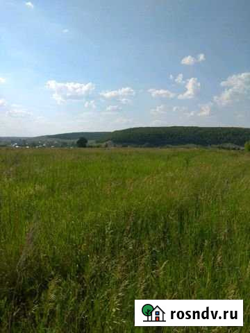 Участок ИЖС 15 сот. на продажу в Кочкурово Кочкурово - изображение 1