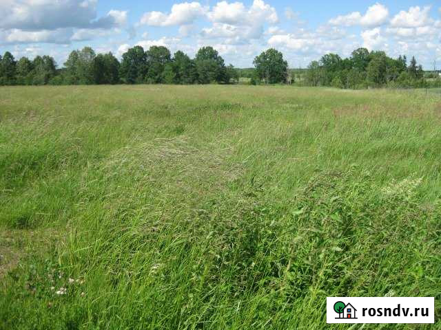 Участок СНТ, ДНП 750 сот. на продажу в Краснознаменске Калининградской области Краснознаменск - изображение 1