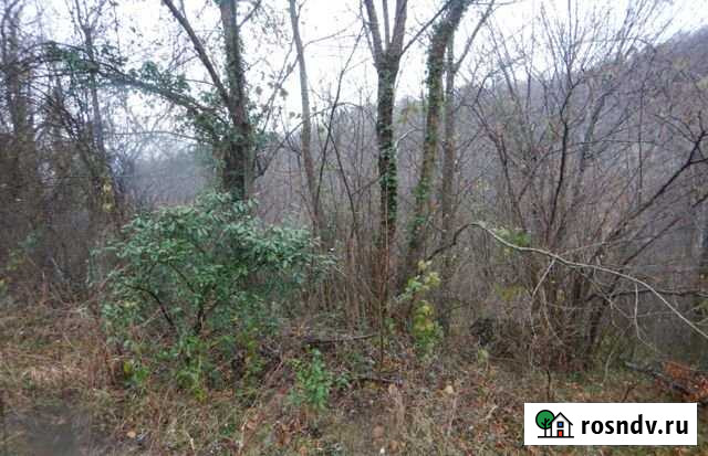 Участок СНТ, ДНП 5 сот. на продажу в Сочи Сочи - изображение 1